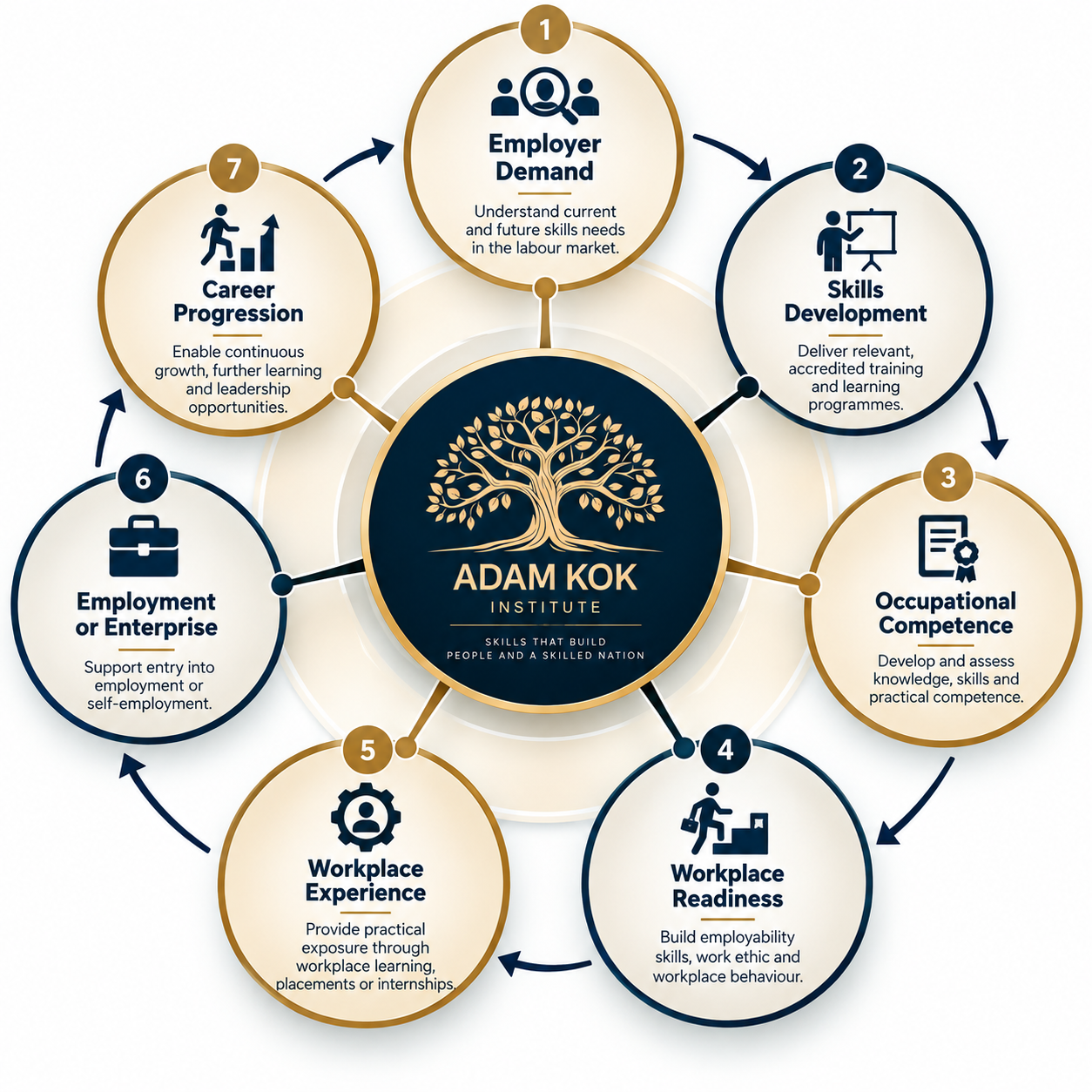 Adam Kok Institute skills cycle from employer demand through skills development, competence, workplace readiness, experience, employment and career progression
